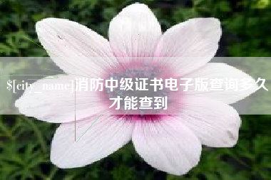 东至消防中级证书电子版查询多久才能查到