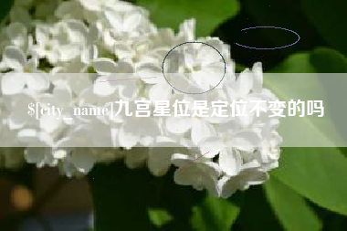 东至九宫星位是定位不变的吗