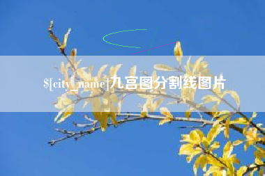 东至九宫图分割线图片