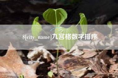 东至九宫格数字排序