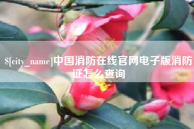 东至中国消防在线官网电子版消防证怎么查询