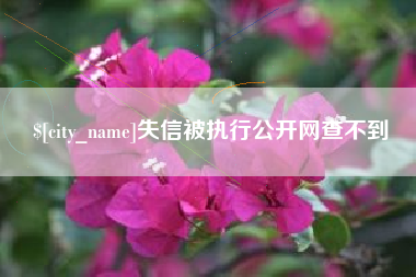 东至失信被执行公开网查不到