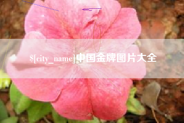 东至中国金牌图片大全