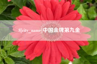 东至中国金牌第九金