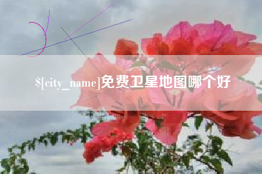 东至免费卫星地图哪个好