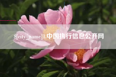 东至1.中国执行信息公开网
