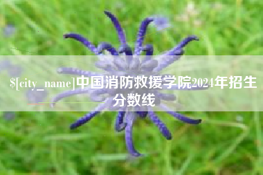 东至中国消防救援学院2024年招生分数线