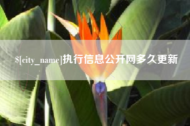 东至执行信息公开网多久更新