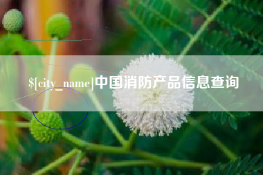 东至中国消防产品信息查询