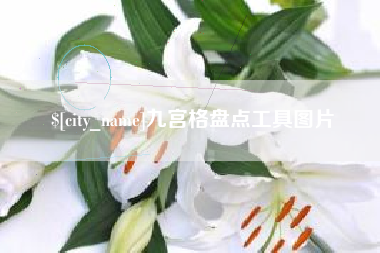东至九宫格盘点工具图片