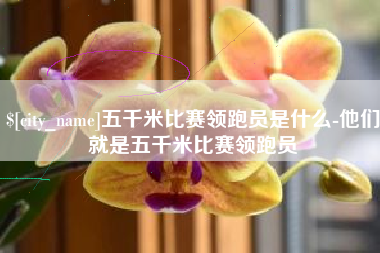 东至五千米比赛领跑员是什么-他们就是五千米比赛领跑员