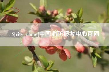 东至中国消防报考中心官网