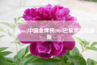 东至中国金牌榜2024巴黎奥运会最新