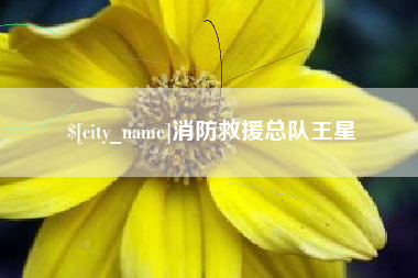 东至消防救援总队王星