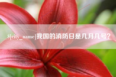 东至我国的消防日是几月几号？