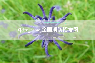 东至全国消防招考网