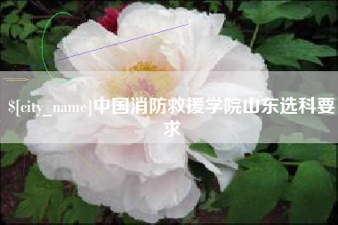 东至中国消防救援学院山东选科要求