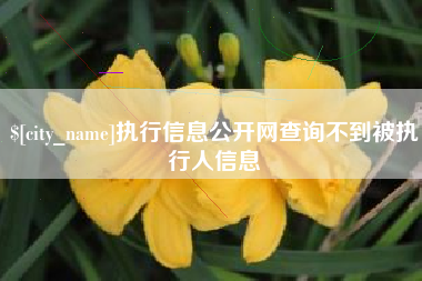 东至执行信息公开网查询不到被执行人信息