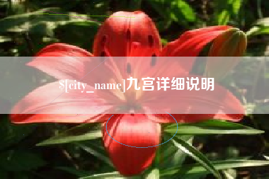东至九宫详细说明