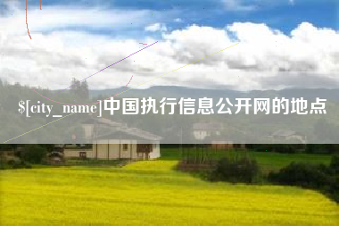 东至中国执行信息公开网的地点