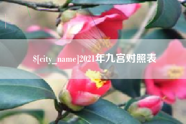 东至2021年九宫对照表