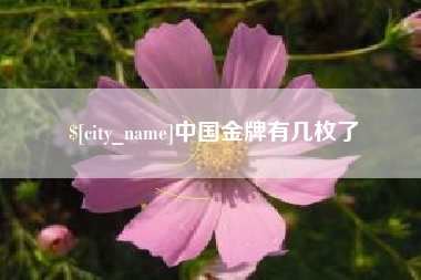 东至中国金牌有几枚了