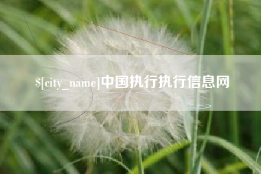东至中国执行执行信息网