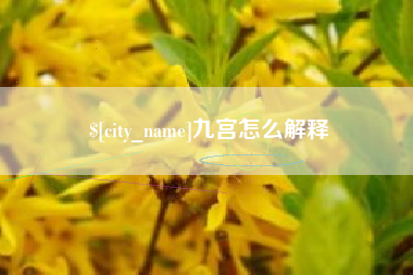 东至九宫怎么解释