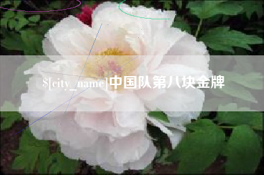 东至中国队第八块金牌