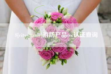 东至消防产品ccc认证查询