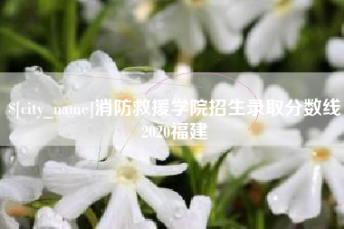 东至消防救援学院招生录取分数线2020福建