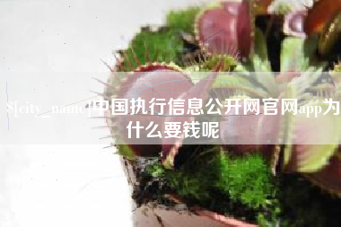 东至中国执行信息公开网官网app为什么要钱呢