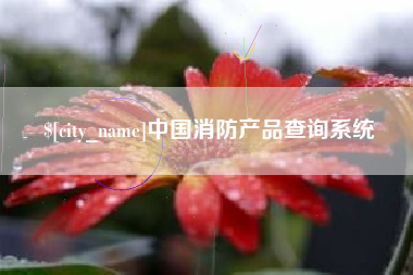 东至中国消防产品查询系统