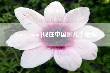东至现在中国哪几个金牌