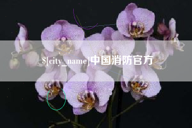 东至中国消防官方