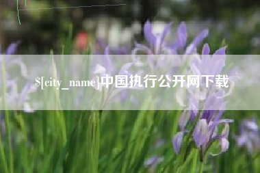 东至中国执行公开网下载