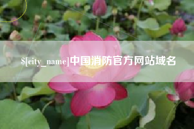 东至中国消防官方网站域名