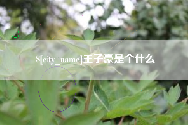东至王子豪是个什么