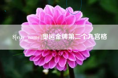 东至奥运金牌第二个九宫格