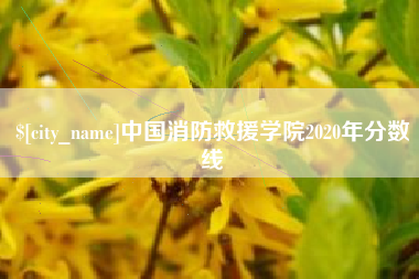 东至中国消防救援学院2020年分数线