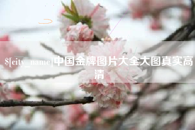 东至中国金牌图片大全大图真实高清