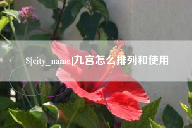 东至九宫怎么排列和使用