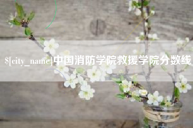 东至中国消防学院救援学院分数线