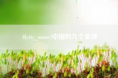 东至中国的几个金牌