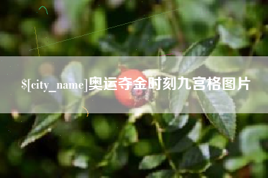 东至奥运夺金时刻九宫格图片