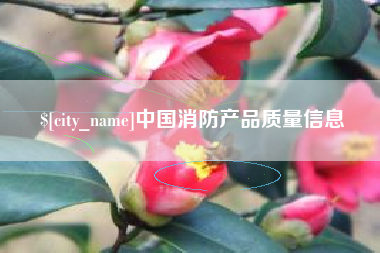 东至中国消防产品质量信息