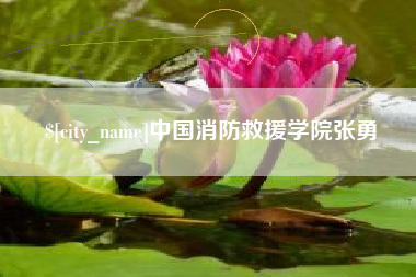 东至中国消防救援学院张勇