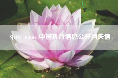 东至中国执行信息公开网失信
