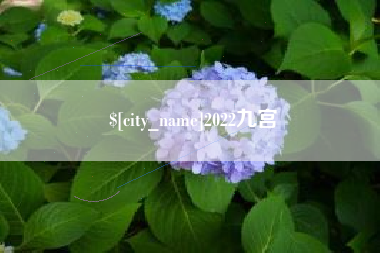 东至2022九宫