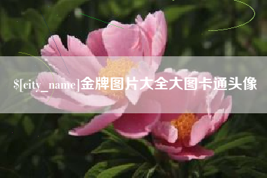 东至金牌图片大全大图卡通头像